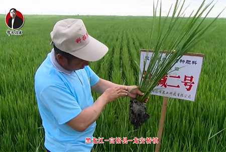 富?？h-龍安橋鎮