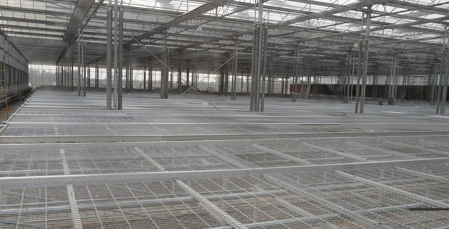 苗 床 鋼 絲 網(wǎng) 片